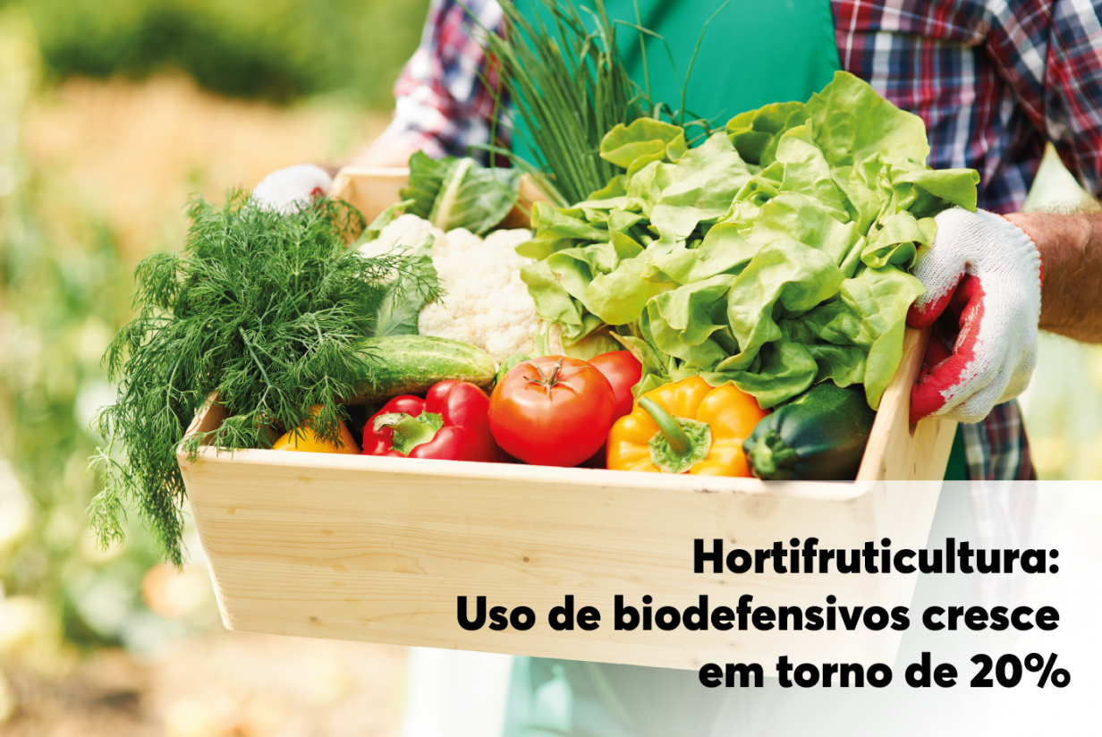 HORTIFRUTICULTURA: Uso de biodefensivos cresce em torno de 20%